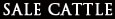 Sale Cattle